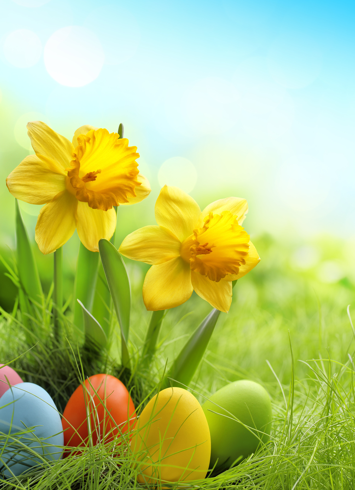 Angebote zu Ostern